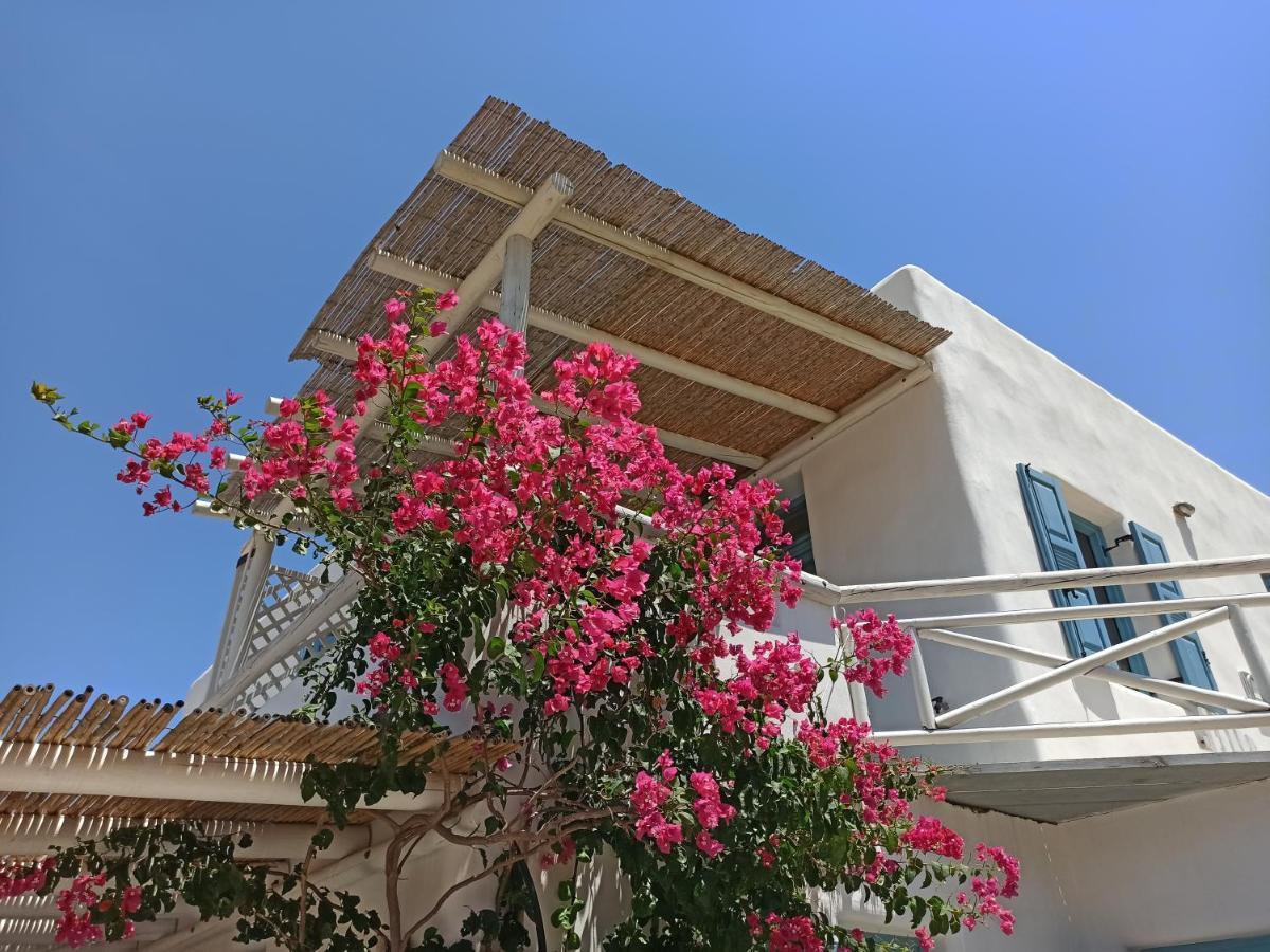 Kykladonisia Αμοργός Δωμάτιο φωτογραφία